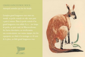 https://illustrations.oliviercharpentier.com:443/files/gimgs/th-7_Bestiaire-2-13.jpg